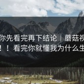 我劝你先看完再下结论｜蘑菇视频官网！！看完你就懂我为什么生气