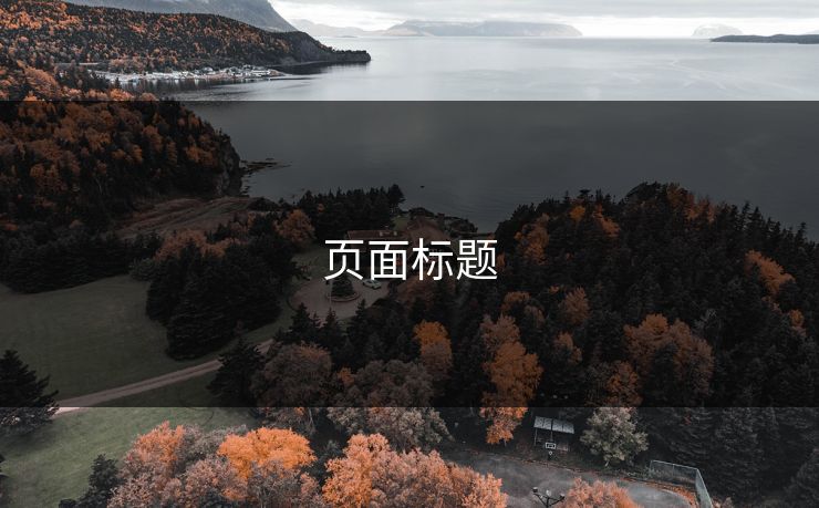 页面标题