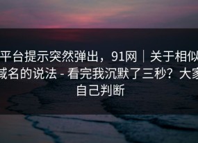 平台提示突然弹出，91网｜关于相似域名的说法 - 看完我沉默了三秒？大家自己判断