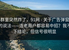 群里突然炸了，91网 - 关于广告弹窗的说法——连老用户都容易中招？我不下结论，但信号很明显