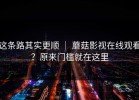 这条路其实更顺 ｜ 蘑菇影视在线观看？原来门槛就在这里